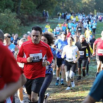 lanton01.jpg