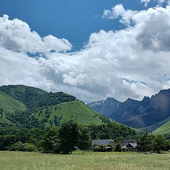 montanasp2.jpg